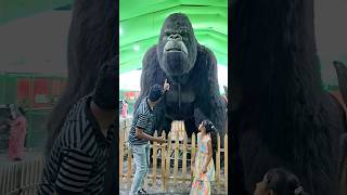 King Kong 🦍  Kha Jayega 😱 [upl. by Mabelle]