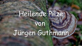 Heilende Pilze von Jürgen Guthmann  Heilpilze Vitalpilze 1  Literaturempfehlung [upl. by Mott]