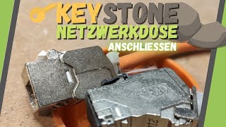 Keystone Netzwerkdose ▶ DAS musst Du beim Anschließen beachten [upl. by Herrington]