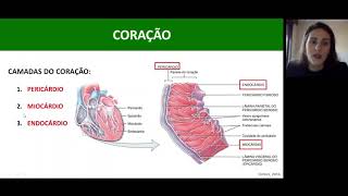 AULA 2  Sistema cardiovascular e Envelhecimento [upl. by Robbins]