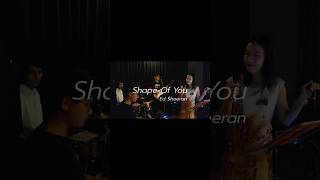 Shape Of You  Ed Sheeran  Vizards Band cover [upl. by Neleh]