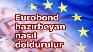 Eurobond hazırbeyan nasıl doldurulur [upl. by Allemrac]