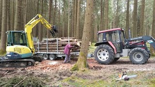 Mit dem Minibagger im Holz Eigenbau Tieflader und Baggerdaumen beim Holzrücken mit Case 940 [upl. by Madella739]