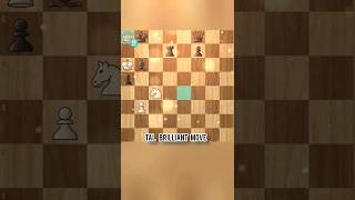 TAL BRILLIANCY  TAL BRILLIANT MOVEchess [upl. by Mcgill]