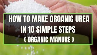 How to Make Organic Urea in 10 Simple Steps  Organic Urea Preparation  How to make urea at home [upl. by Now]