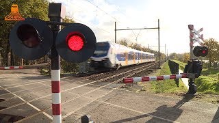 DUTCH RAILROAD CROSSING  Boxtel  Molenwijkseweg [upl. by Persis]