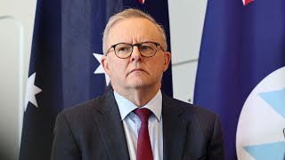 Anthony Albanese in a ‘world of pain’ amid diminishing support for Labor [upl. by Batish]