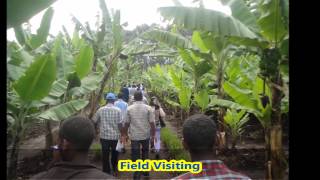 Ethiopian Ethiopian Agricultural Research Aromatic and Medicinal [upl. by Aleakcim]