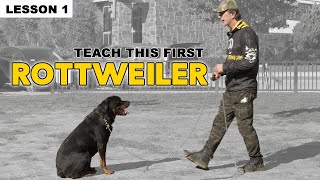 First Things to Teach Your Rottweiler  Dog Training [upl. by Ahsit]