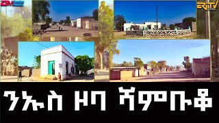 ንኡስ ዞባ ሻምቡቆ  Exploring subzone Shambuqo  Mosaic  EriTV [upl. by Acirederf]