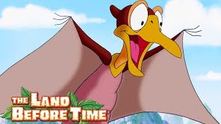 Best of Petrie  The Land Before Time  Cartoons for Children [upl. by Peyton618]