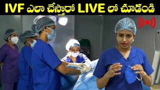 IVF ఎలా చేస్తారో LIVE లో చూడండి  IVF Step By Step Procedure  Dr Jyothi Fertility Expert  HQ [upl. by Octavus]