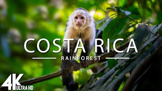 Costa Rica Rainforest 4k  Happiest Country On Earth With Exotic Wildlife  Scenic Relaxation Film [upl. by Noreik145]