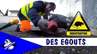 26 Km de DERATISATION des Réseaux égouts [upl. by Kata]