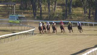 Gayndah 20240608 Race 4 [upl. by Jenei]