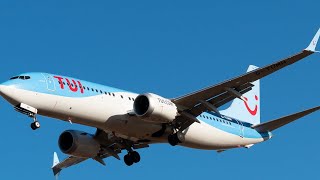 B7378 Landing  Gran Canaria TUI aviation pilot planespotting aircraft jet crew travel [upl. by Swirsky]