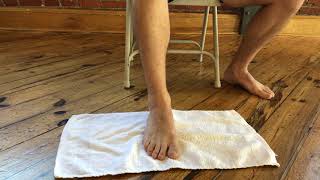 Seated Ankle InversionEversion with towel [upl. by Averill]