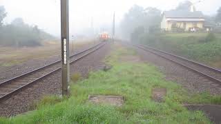 Teralba Railway Station on a Foggy Morning [upl. by Guillaume970]