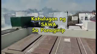 KAHULUGAN NG SAWA SA PANAGINIP [upl. by Atteynad]