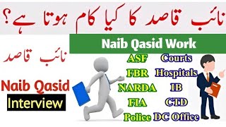 naib qasid ka kam kya hota hy  naib qasid work  naib qasid duty [upl. by Lietman]