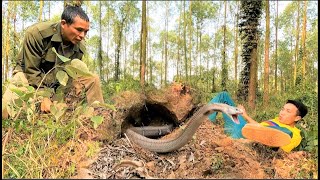 The terrifying moment of two hunters when confronting a herd of ferocious king cobras in the forest [upl. by Rapp]