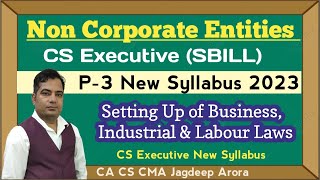 Non Corporate Entities  Part 2 of SBILL CS Executive New Syllabus 2023 Demo Lectures csexecutive [upl. by Koetke]