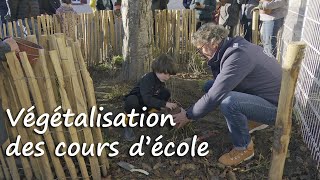 Végétalisation des cours d’école et du restaurant scolaire de Cugand tvsevreetmaine [upl. by Aihc222]