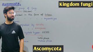 Ascomycota life cycle  Characteristics  Class 11 Biology [upl. by Airad]