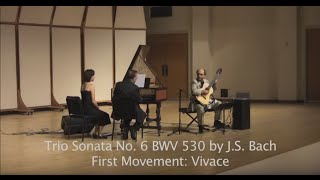 Ozgen amp Newman play Bach Trio Sonata No 6 for guitar and harpsichord [upl. by Wina935]