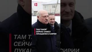 Там такой сейчас замес Лукашенко о Сирии лукашенко политика сирия новости война асад [upl. by Llewsor]