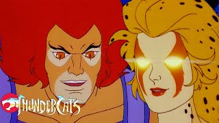 Thundercats extra sin razón  GenWBLatino [upl. by Ahseer222]