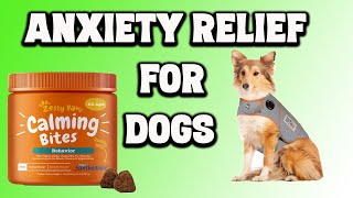 Anxiety Relief For Dogs [upl. by Home]