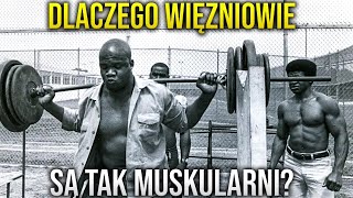 Dlaczego Więźniowie Są Tak Muskularni [upl. by Nywra358]