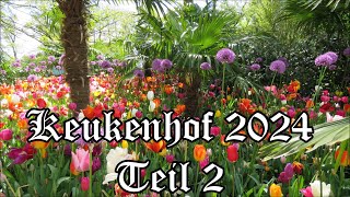 Keukenhof 2024 Teil 2 [upl. by Clarisa]