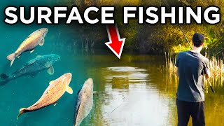 Surface Fishing For Carp  Made Easy I caught loads [upl. by Llenel706]