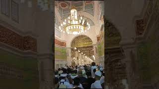 Madina youtube droodshreef islamicvideos islamic viralvideo viralshort support supportme [upl. by Landry222]