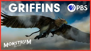 Why Has the Majestic Griffin Been Forgotten  Monstrum [upl. by Christophe]