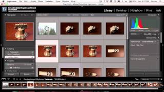 How To Get Started With Adobe Photoshop Lightroom 3 [upl. by Fiertz756]