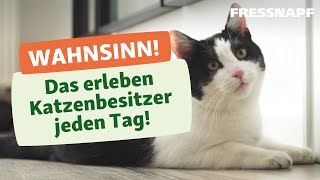 7 typische Situationen die nur Katzenbesitzer kennen [upl. by Emelun]