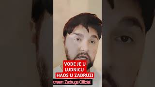 VODE JE U LUDNICU HAOS U ZADRUZI [upl. by Leirvag]