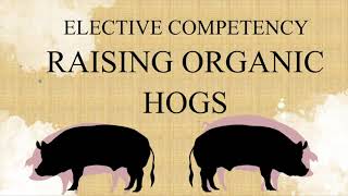 UPDATED OAP NC II REVIEWER Organic Agriculture Production NC II Raise Organic Hogs Part 1 [upl. by Namrak726]