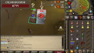 100B PKED  MAX NHING  MACING FT IMPULSE  Runewild RSPS PKing [upl. by Sregor]