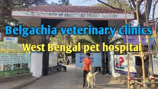 Today visited Belgachia veterinary clinics in Kolkata [upl. by Noby]