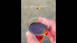 كاس مليته بالوفا لاتكبة😴💔 [upl. by Cummine791]