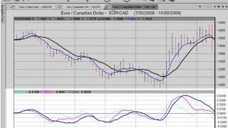 VantagePoint AI  Tutorial  Position Trading [upl. by Nospmas802]