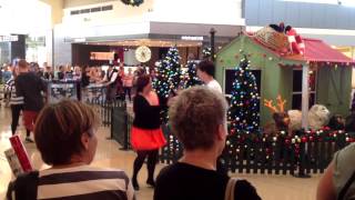 Northlands Christmas Flash Mob 2013 [upl. by Balcer]