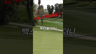 역대급 백스핀 이글에 성공한 전설의 골퍼 ㄷㄷㄷgolfgolfswing [upl. by Nivalc392]