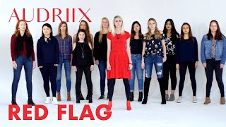 Audriix  Red Flag Official Music Video [upl. by Devad336]