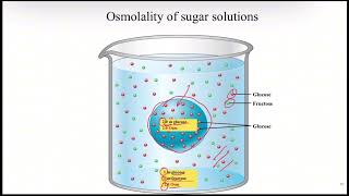 Osmolarityamposmolalityamptonicity [upl. by Lamraj]