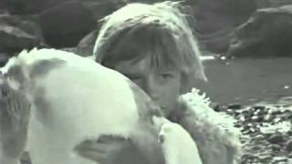 MIKRESAPHRODITES1963GreeceFilmbyNikosKoundourosHD CLIP [upl. by Sassan457]